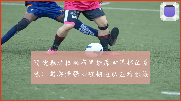 阿德勒对格纳布里缺席世界杯的看法：需要增强心理韧性以应对挑战