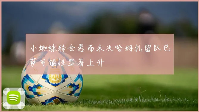 小蜘蛛转会悬而未决哈姆扎留队巴萨可能性显著上升